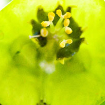 怎么ddos攻击游戏服务器